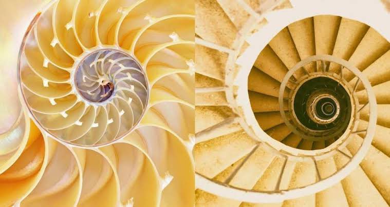 Biyomimikri (ya da biyomimikri, biomimicry), doğadaki tasarımlar, süreçler ve sistemlerin insanlar tarafından çözülmesi gereken sorunlar için ilham kaynağı olarak kullanılmasıdır. Yani, doğada var olan problemlere doğanın çözümlerine bakarak insan yapımı çözümler geliştirmeye