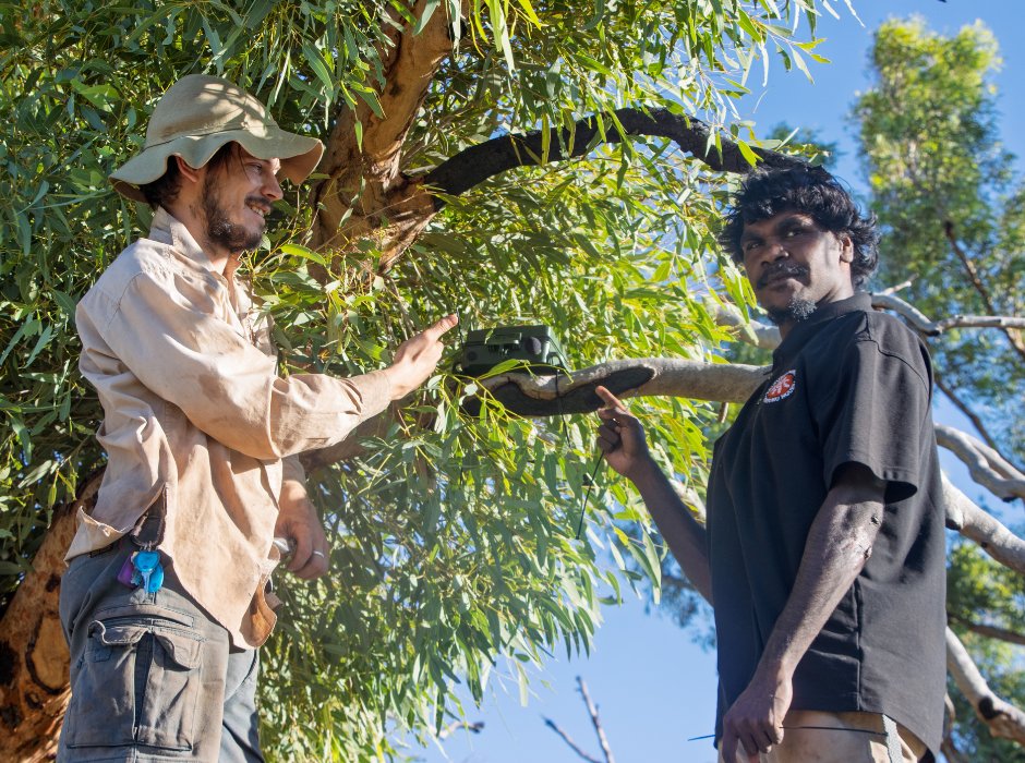 KJMartu's tweet photo. Near Warlawarla on the #CanningStockRoute, #KJMartuRangers from #Kunawarritji spent two nights #WorkingOnCountry to protect #ThreatenedSpecies. They installed cameras to monitor endangered #NorthernQuoll and a song meter in the hopes of catching the call of the #PrincessParrot. https://t.co/ON4XxkNFiW