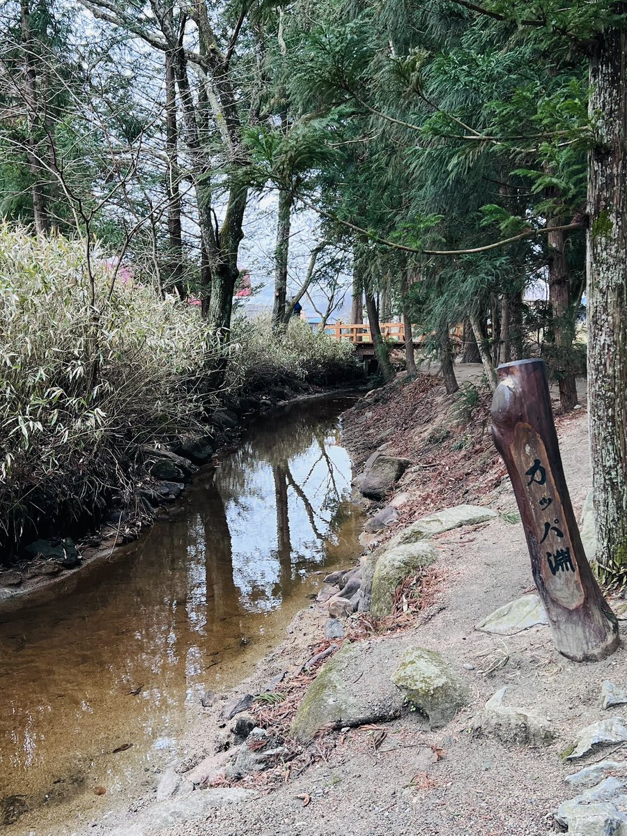 tonojikan's tweet photo. 3月31日から行われていたカッパ淵の砂の除去作業が終了しました。
なお、水量が戻るのは今月中旬頃となりそうです。とてもスッキリ、キレイになったカッパ淵に遊びに来てください。カッパおじさんも待ってます！
#遠野　#カッパ　#カッパ淵 https://t.co/bvx2DFPkly