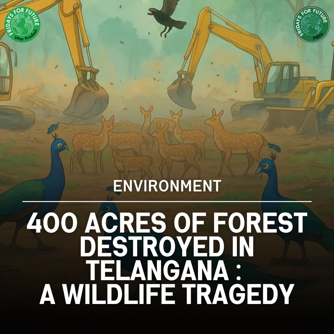 Telangana has witnessed an environmental catastrophe as 400 acres of lush forest have been razed, displacing countless wildlife species and threatening the region’s delicate ecosystem.

Speak Up. 
Stand for the Forest. 
Save Telangana’s Wildlife.
#SaveHCUBioDiversity #Telangana