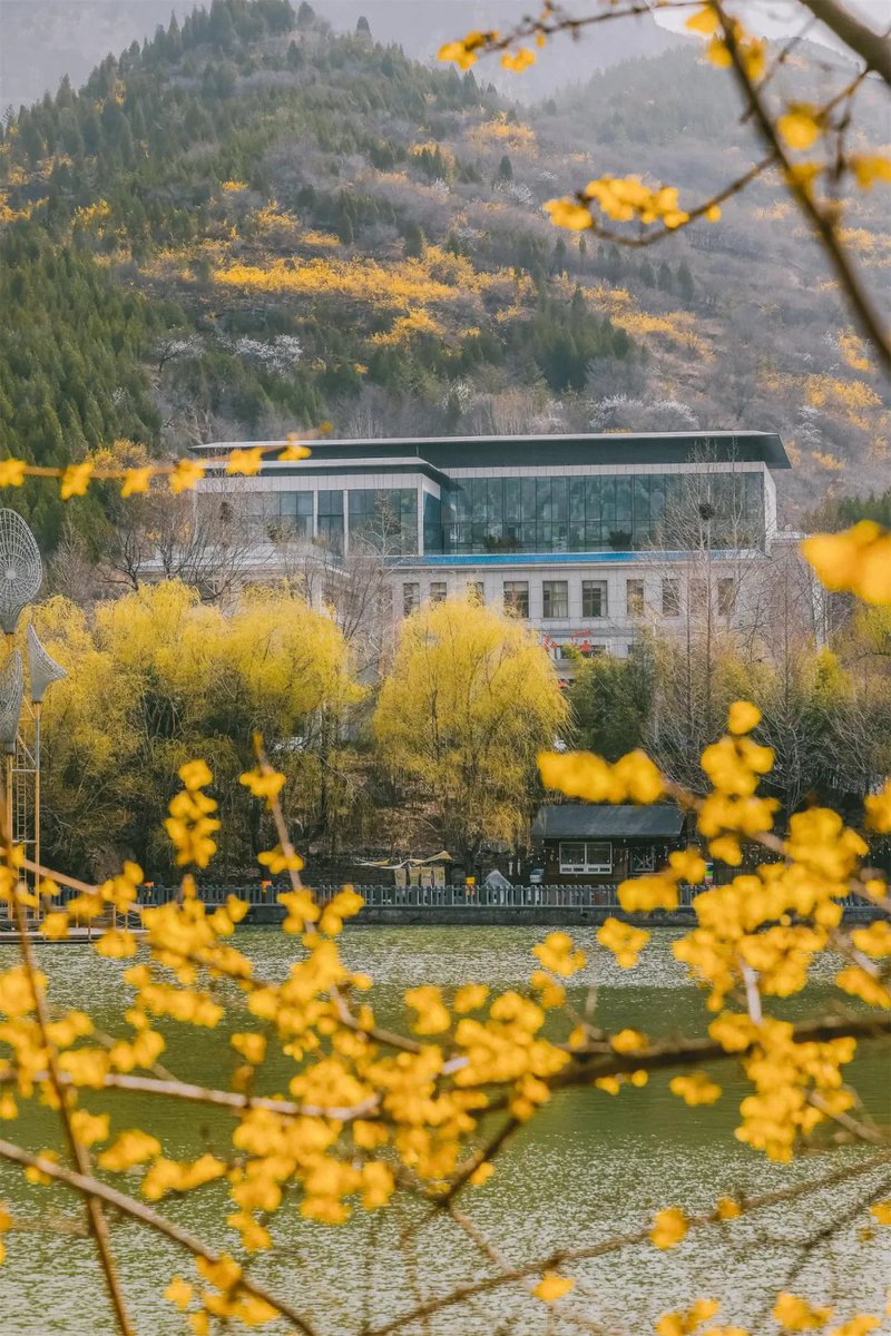 ZiboOfficial's tweet photo. 😁😁Freebies and discounts! Don't miss out on the numerous festivals in #Zibo.
Enjoy exclusive offers during the #QingmingFestival and immerse in a floral paradise🌺🌹🌷. #TourZibo #ZiboSpring https://t.co/92Vs3xAwQF