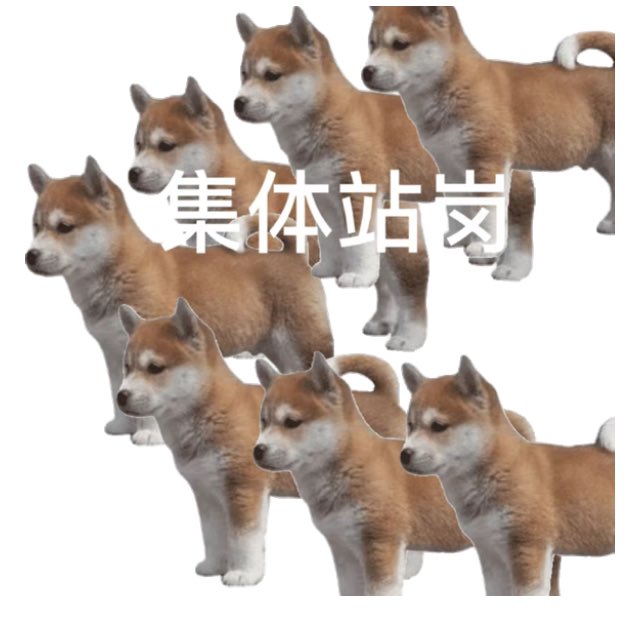 付 tweet media