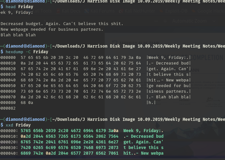 XXploit's tweet image. Forensic fundamentals! 🕵️♂️ Using hexdump, xxd, and head to scrutinize file contents. Vital for uncovering anomalies and data irregularities. #Cybersecurity #FileAnalysis #HexEditing