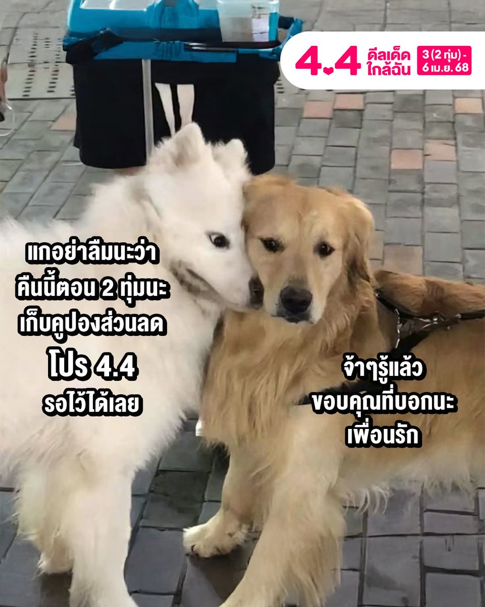 ‼ อย่าลืมนะเก็บคูปองส่วนลดไว้รอเลย Lazada 4.4 ดีลเด็ด ใกล้ฉัน คืนนี้ 2 ทุ่ม!! 💥

🎟 คูปอง 4.4 ลดสูงสุด 5,000.-*
⚡LazFlash ลดสูงสุด 80%*
🔥 แบรนด์ดังลดแรง 6 ชั่วโมงแรก (2ทุ่ม-ตี2)

📅 เริ่มช้อปเลยตั้งแต่วันที่ 3 (2ทุ่ม) - 6 เม.ย. 68 นี้เท่านั้น !
📲 ช้อปเลย : https://t.co/gebIX0t8zw

*เงื่อนไขเป็นไปตามที่บริษัทฯ กำหนด ดูรายละเอียดเพิ่มเติมได้ที่ลาซาด้าแอปพลิเคชั่น และ https://t.co/c9xFW5NRNz

#Lazada44ดีลเด็ดใกล้ฉัน #Lazada44TH #LazadaTH