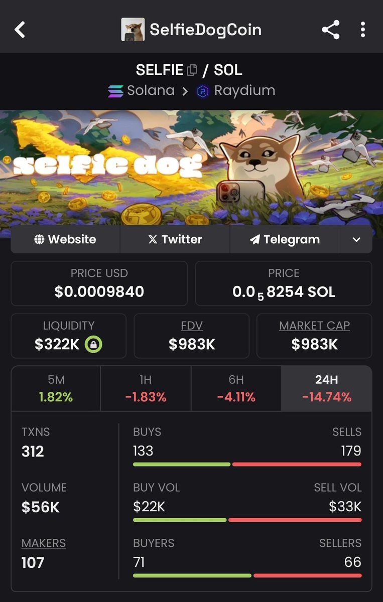 Selfie below 1M market cap. Many ignore this opportunity, and many will increase it by x100+ in a few months.
Buy the blood and take a selfie.
$selfie