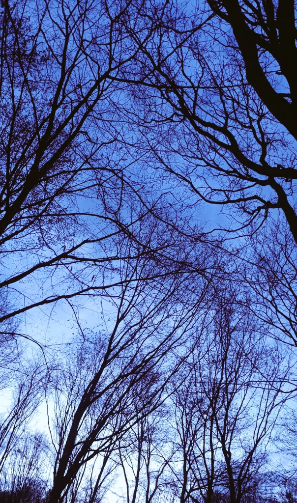 "Her şey kısa sürelidir; hatırlayan da, hatırlanan da."
Marcus Aurelius