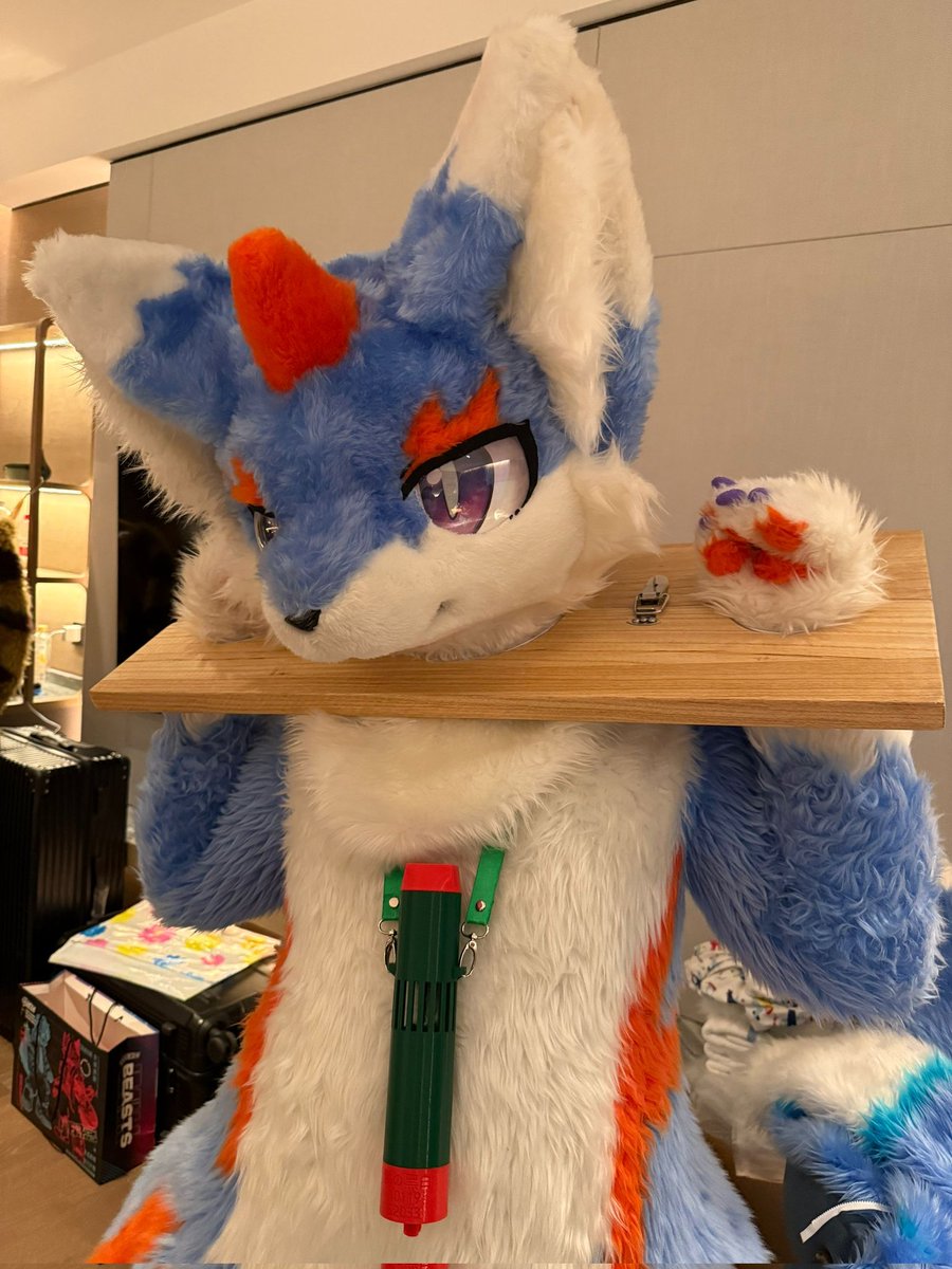 RagdollMiaow's tweet photo. 放开我呜呜我什么都说！！ https://t.co/pFEE8XOb78