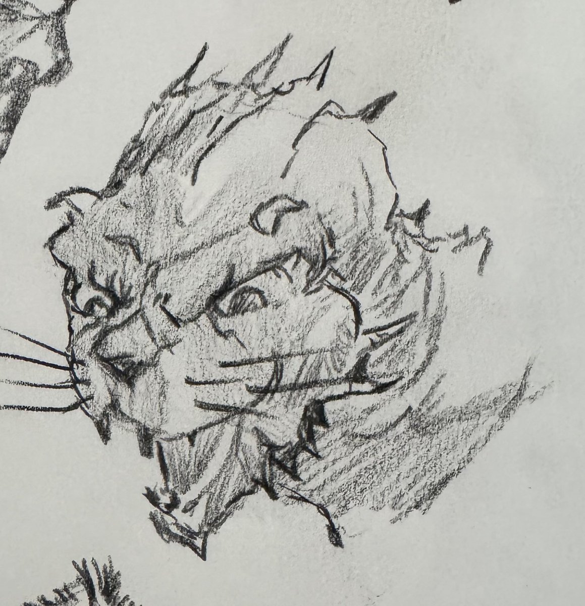 DelTeigeler's tweet photo. A sketchbook piece, started out with a shading challenge by @bobbyrebholz off his youtube series. A border cat! Cheers!
#artist #warrior #dungeons #dragons #rpg #rpgfamily #ttrpg #classic #sword #swordandsorcery #osr #medieval #osrrpg #dnd #pencil #pencildrawing #bordercat https://t.co/YS8oBtJbyJ