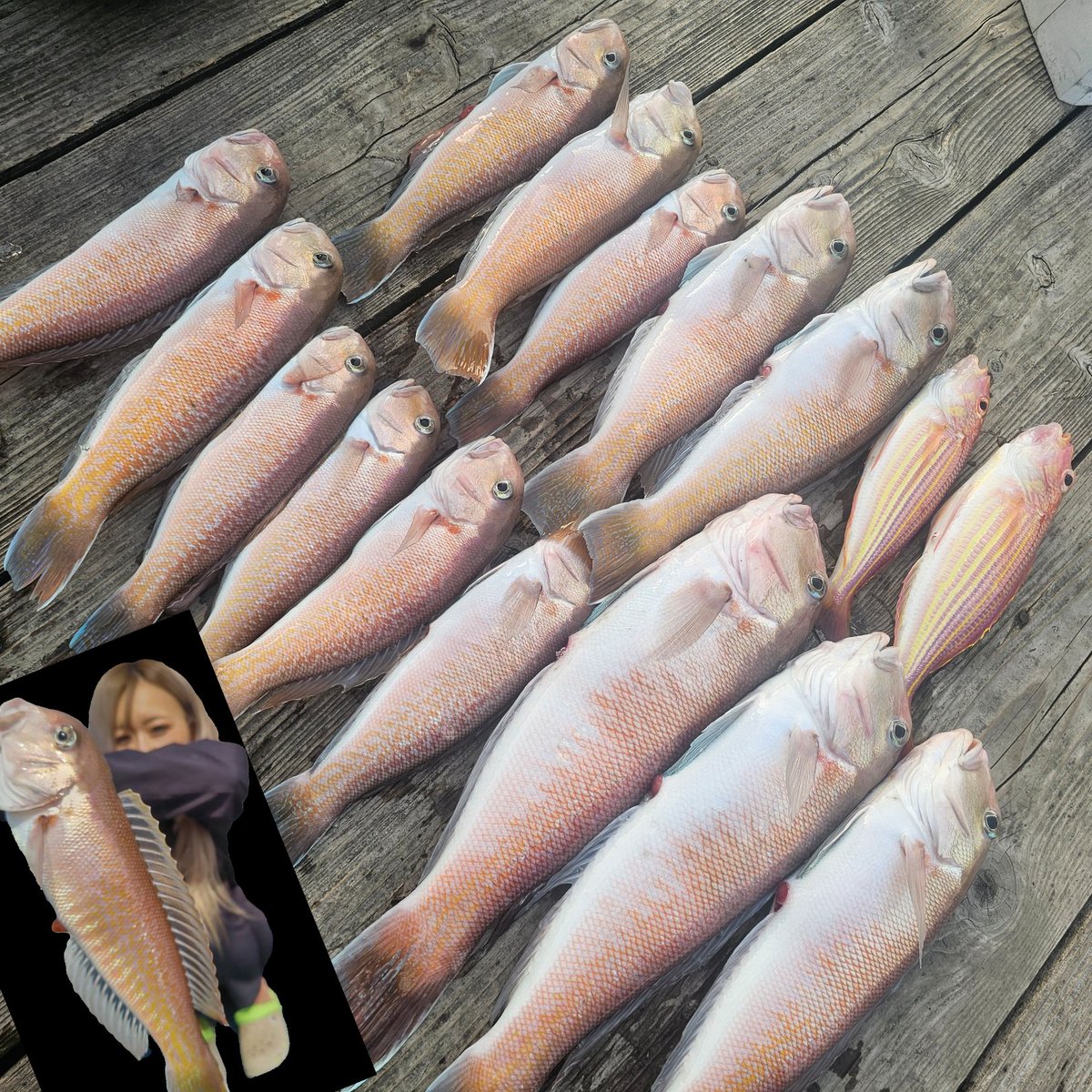 n_elfi_r's tweet image. 白甘鯛〜💕
大好物の松笠揚げ🫶