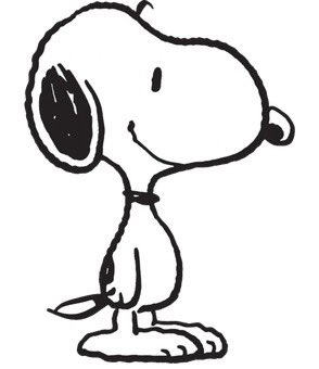 maxversnoopy's tweet image. 