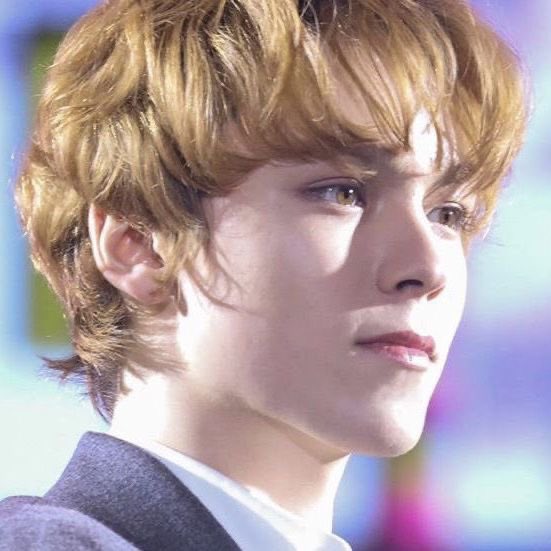vernonlins's tweet photo. i looove buzzcut vernon but damn i miss his ginger perm hair https://t.co/Vel4C5WPHq