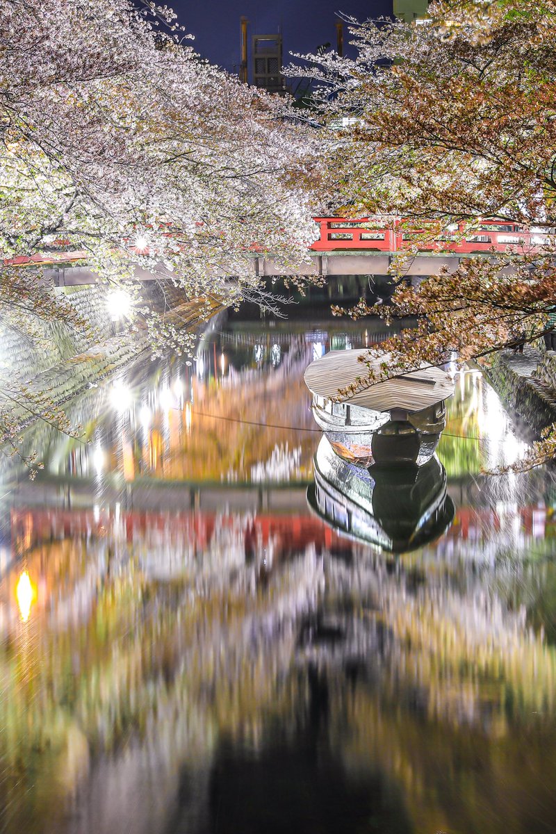 AgPhotogallery's tweet photo. 日本のさくら名所50/100

📍岐阜県 大垣市 奥の細道結びの地

幻想夜桜名所 https://t.co/tBYlSQ2h7c