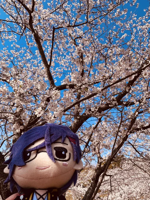 みてきた