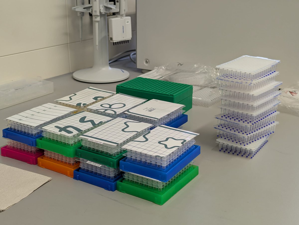 PonteMosca tweet media