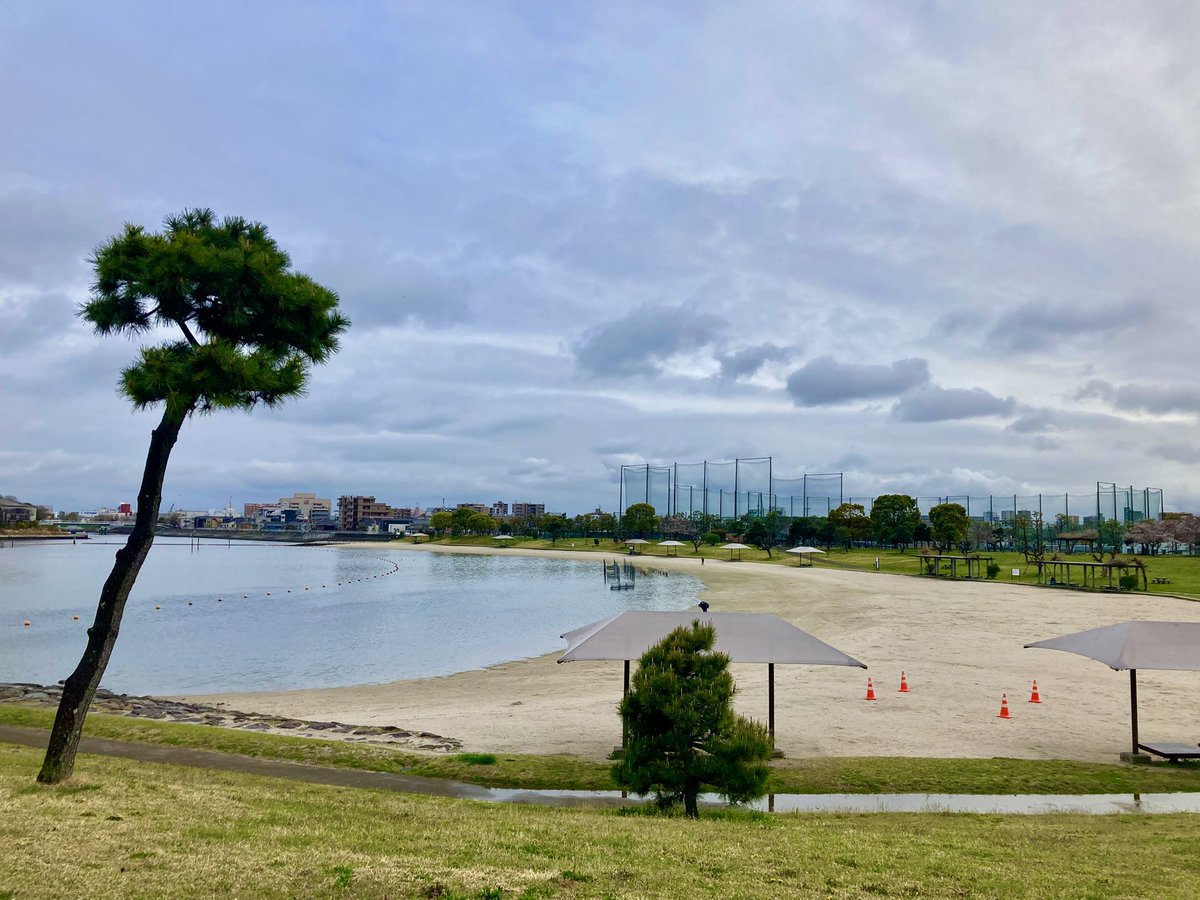 hSakuta1126's tweet photo. 仕事終わりからのお花見🌸ランニング
3月中旬から足首に痛みがありランニングはお休みでした
今日から再開です🏃

#大森ふるさとの浜辺公園 
#走れる事に感謝 https://t.co/CzcDkCd4Ym