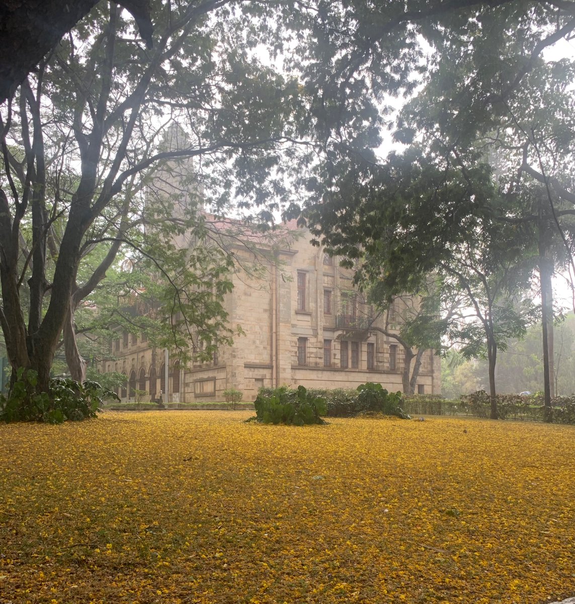 KRPrasadIISc's tweet image. our campus @iiscbangalore after a rain shower