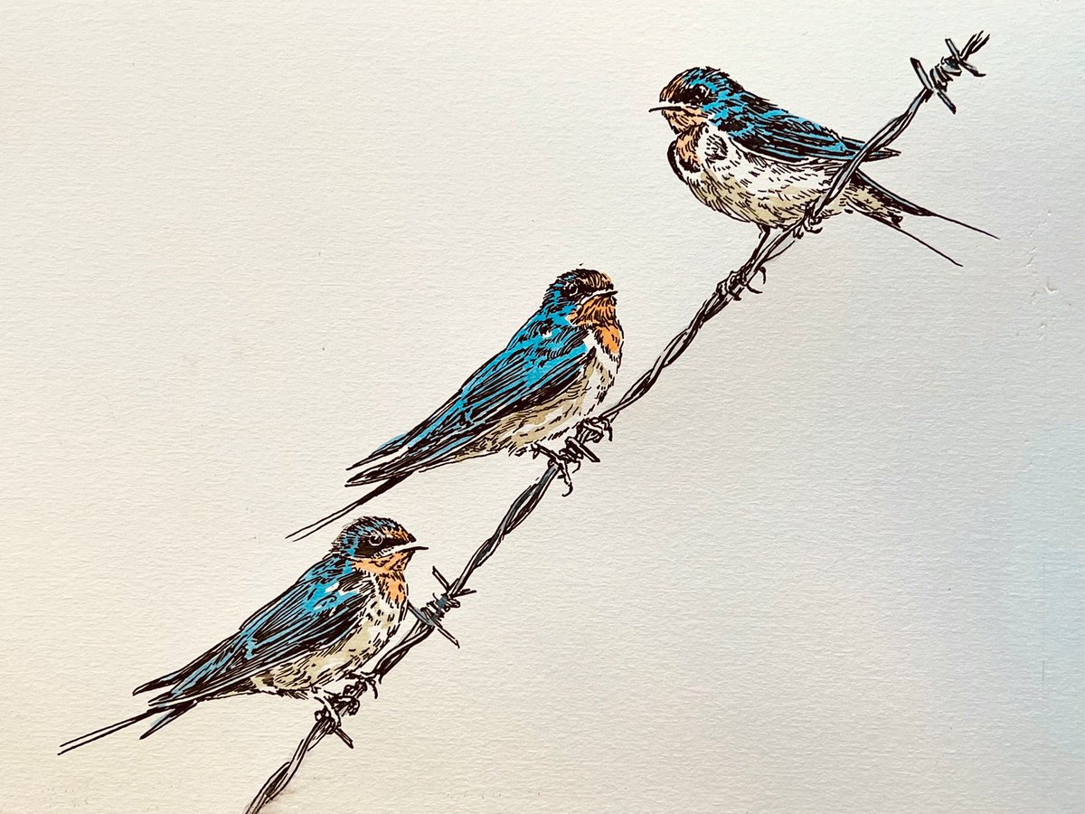 Bas Geeraets 🦉 tweet media