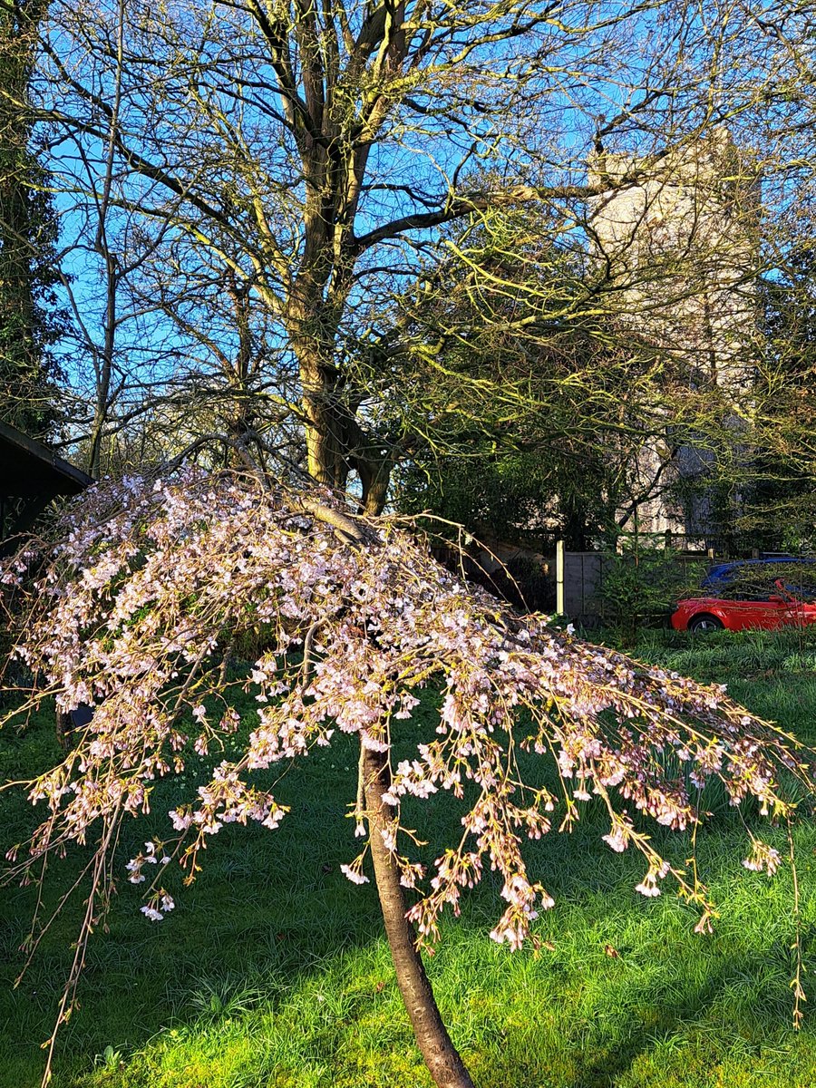 "Food was superb and the special needs were dealt with perfectly ... Beautiful grounds ... everyone was very helpful ..." - EEAE