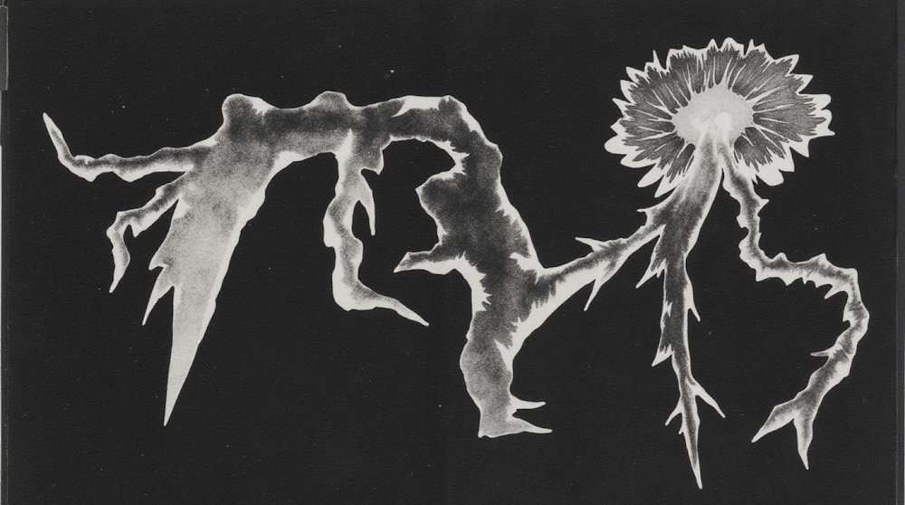 Elfilter tweet media