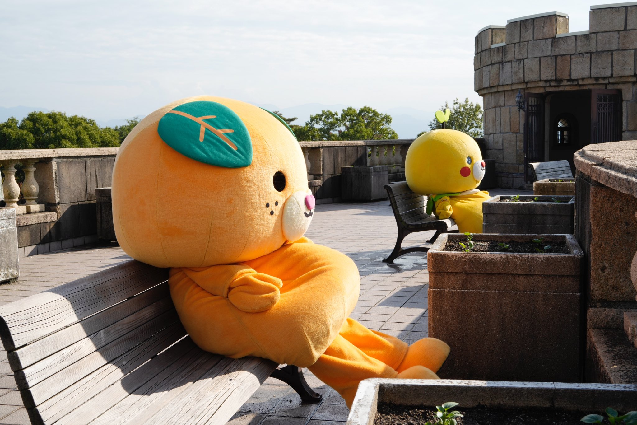 みきゃん【公式】《愛媛県イメージアップキャラクター