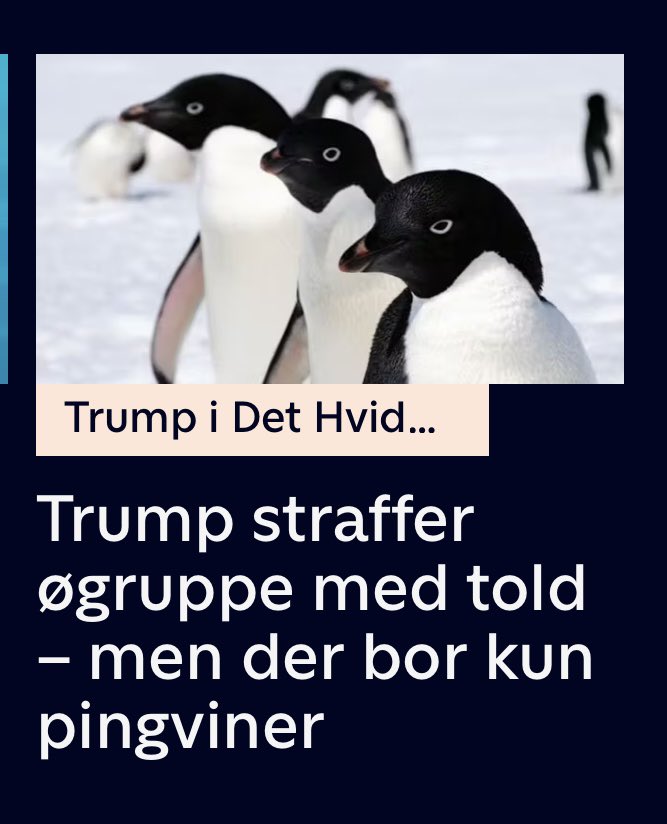 Hans Redder tweet media