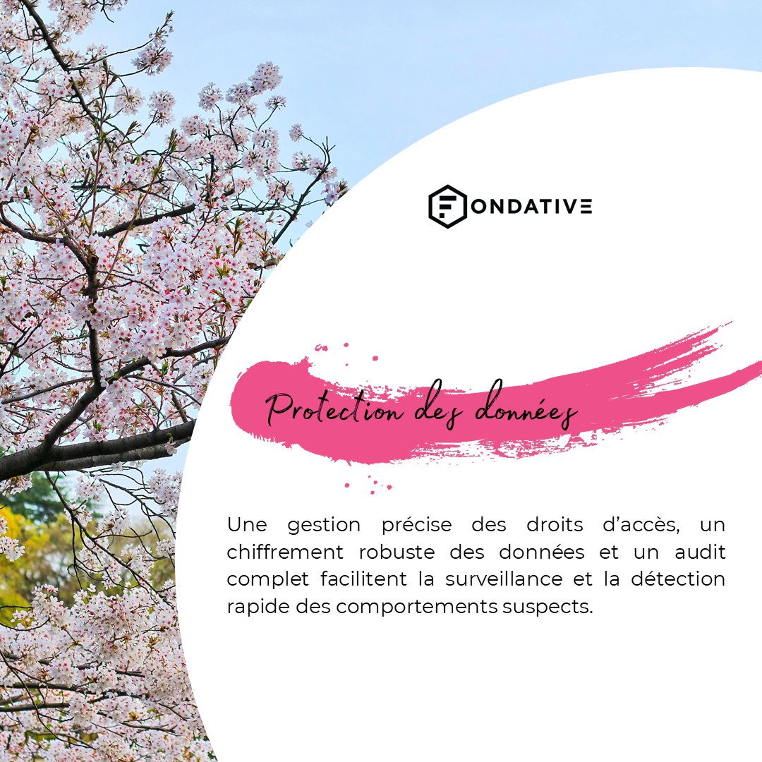 fondative's tweet photo. Chez Fondative, nous nous consacrons à créer des #API totalement prêtes à un #usage externe en adoptant une approche offrant de nombreux avantages ainsi qu’un #kit complet qui vous permet d’exposer vos services à l’extérieur en toute sécurité ✅

https://t.co/XbcVZXsrve… https://t.co/b2jEllXbhH