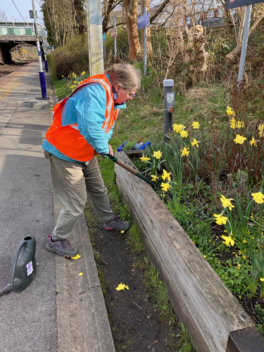 Handforthrail's tweet image. Good morning everyone, some photos of our recent work party and new art  at the station. 
@northernassist @CommunityRail @wilmslowcouk