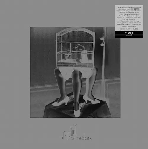 #du予約 🆕

schedars / schedars (LP)
diskunion.net/jp/ct/detail/1…

イタリアのインディレーベル、Spittle Recordsの新支店として発足されたSPITTLE MADE IN JAPANからポストパンクバンド・schedars のファーストアルバムがボーナストラックを追加してリプレス！！！