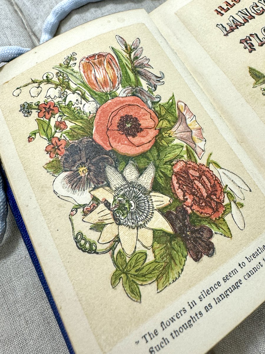 Cambridge University Library tweet media