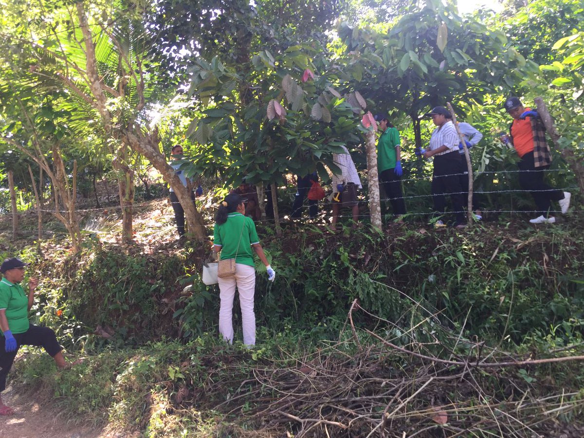 FFspdd's tweet image. Atividade monta lutu iha área Plantação Comando, Dare (31/03/2025).