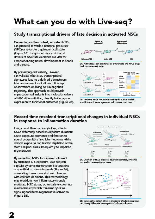 cytosurge's tweet image. What drives neural stem cell fate? 🧠 Track gene expression live with #LiveSeq!
 
Visit us at BOOTH #8 during the @ISSCR  #AthensSymposium!
 🎤 Catch our talk TODAY at 1:20 PM.

Explore #LiveSeq &amp;amp; cytoplasmic biopsies to:
 🔬 Map NSC fate: diff, prolif, or quiescence
 🔥 See how…