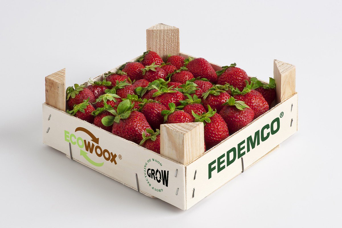 ¡Es temporada de fresas🍓! Un verdadero tesoro lleno de nutrientes que aportan multitud de beneficios para tu salud.

En FEDEMCO estamos comprometidos a seguir impulsando soluciones sostenibles en el embalaje de estos productos garantizando su frescura.
<a href="/Freshuelvaes/">Freshuelva</a> <a href="/5aldiaspain/">5 al día</a>