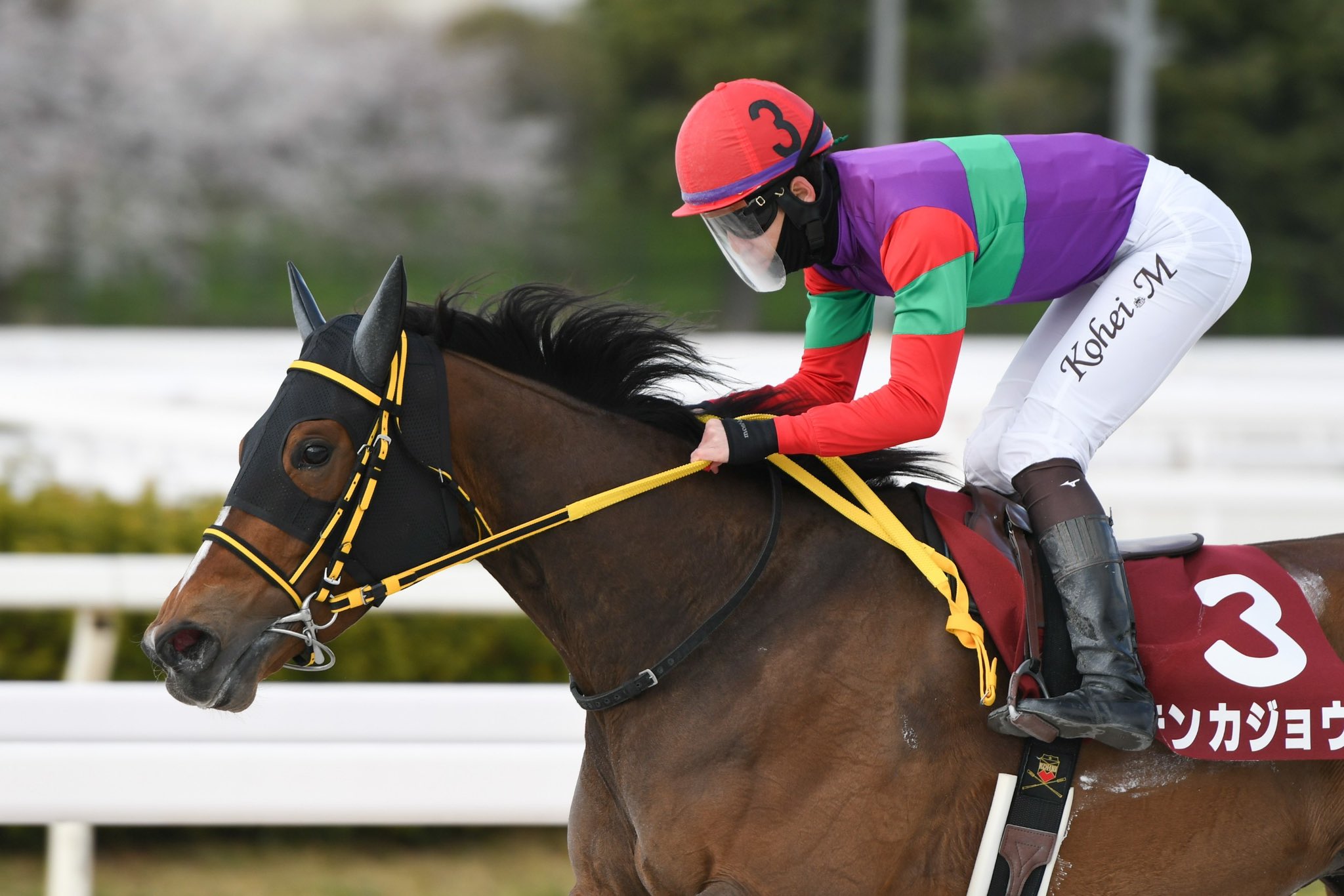 地方競馬全国協会(NAR)公式 on X: 