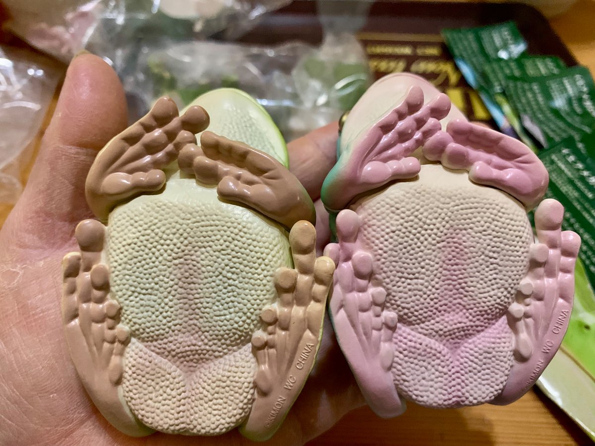 BlackHeartSa0's tweet photo. ガチャの組み立て🐸
暖かい部屋に放置すると
柔らかくなって組みやすい

お腹もリアル
デッカワイイ💓

#ガチャ　#ガチャガチャ　
#ガチャガチャコレクション 
#カプセルトイ
#いきもん　
# ネイチャーテクニカラー
#NATURE TECHNI COLOUR
#イエアメガエル　
#大きなイエアメガエル
#趣味　#趣味垢 https://t.co/TIevtPvPdt
