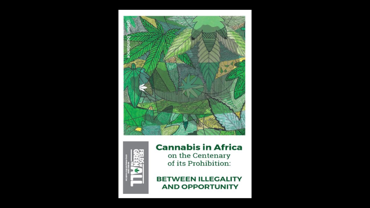 FieldsOfGreenFA's tweet photo. Cannabis in Africa: Between Illegality &amp; Opportunity

At #CND68, Fields of Green for All + Cannabis Embassy hosted the only ECOSOC-recognized cannabis NGO event at the UN. Watch now!

https://t.co/6TynlaFw2U

#HumanRights #Dagga #DrugPolicyReform #FieldsOfGreenForAll #ECOSOC https://t.co/CZrnnUx6lh