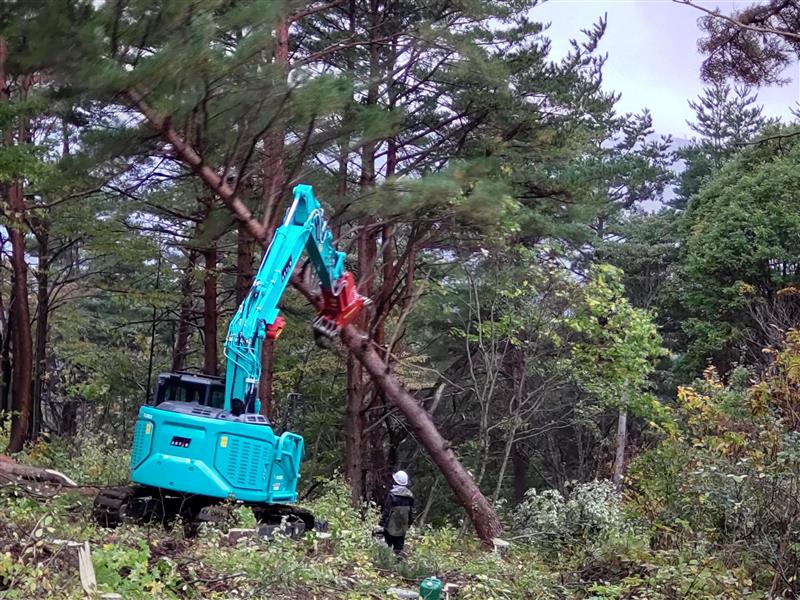 事前伐採の取り組みは、八戸に限らず、各地で行っています！ #横手電力