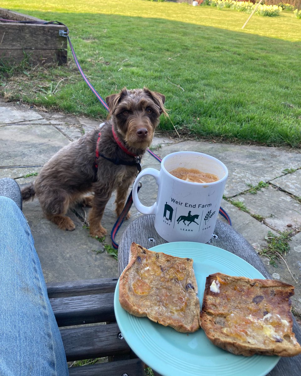 Flat out loading milling wheat this morning…..
#BreadStrike
#MillingWheat
#UKAgriculture