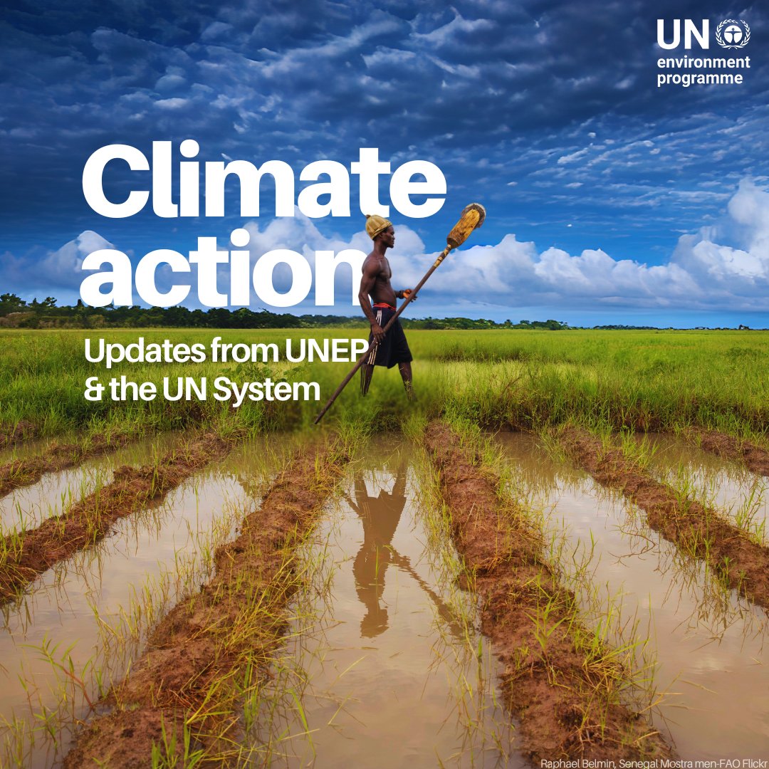 UN Environment Programme tweet media