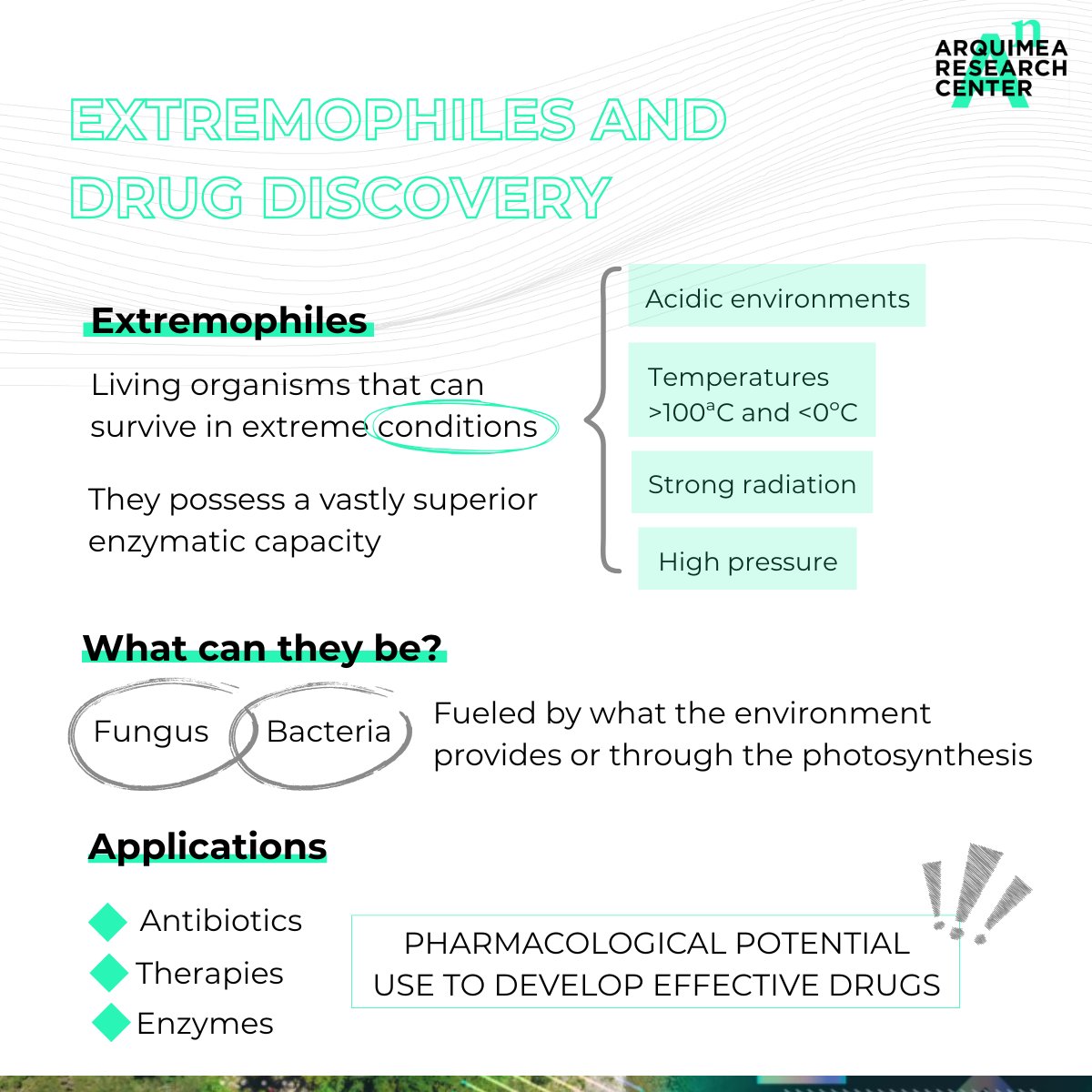 Did you know that #extremophiles help us find new drugs? These microorganisms thrive in extreme conditions, producing unique molecules with potential for #antibiotics, therapies &amp; biotech. At Orbital #Biotech (EU-funded #QCIRCLE), we explore their pharmacological potential!🧬