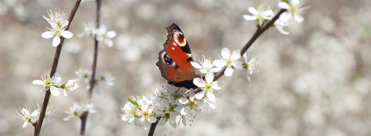 It's Looking A Bit Black Over Bill's Mother's tweet media