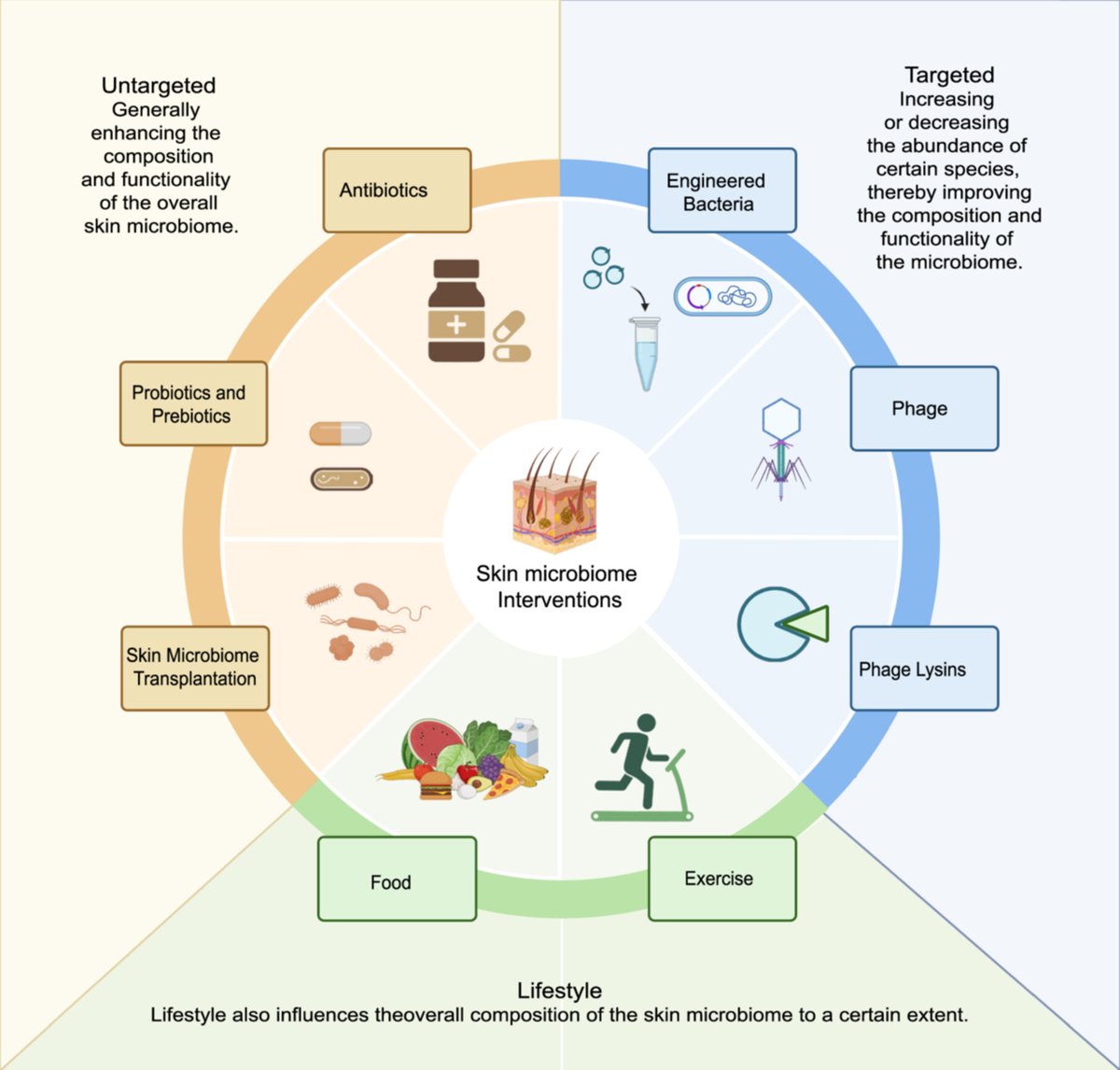iMetaScience's tweet image. 🔬 Skin microbiome engineering: A promising frontier in #skindisease treatment! 
🚀 Explore the challenges &amp;amp; opportunities in this in-depth review by Prof. Dai @leidai_CAS and team in #iMetaOmics
📖 Read more: onlinelibrary.wiley.com/doi/full/10.10…
#Microbiome #Biotech #Bioengineering