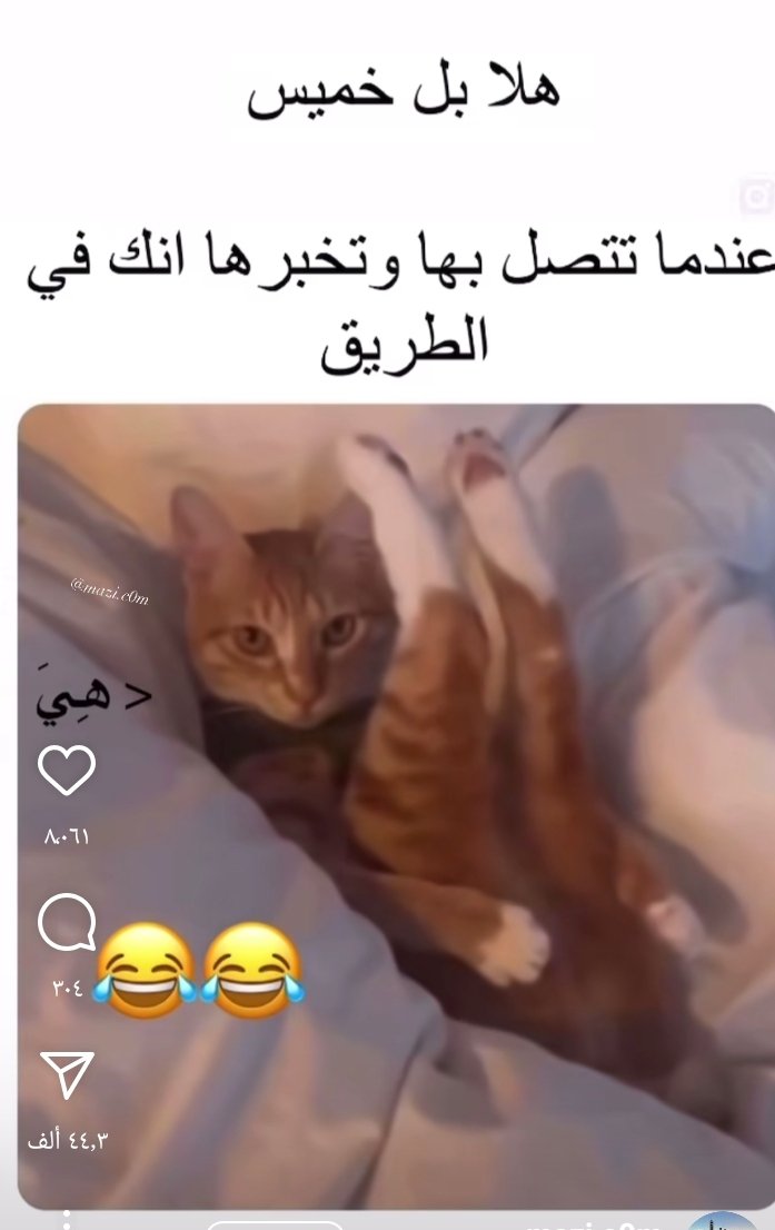 هلا بالخميس من يجي خاص