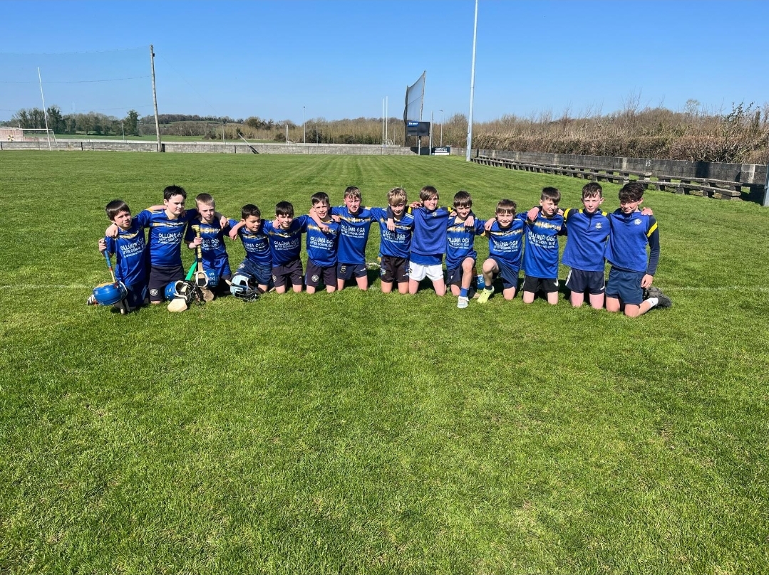 Well done to our super u11 hurlers who won the North Tipperary Roinn D competition yesterday.