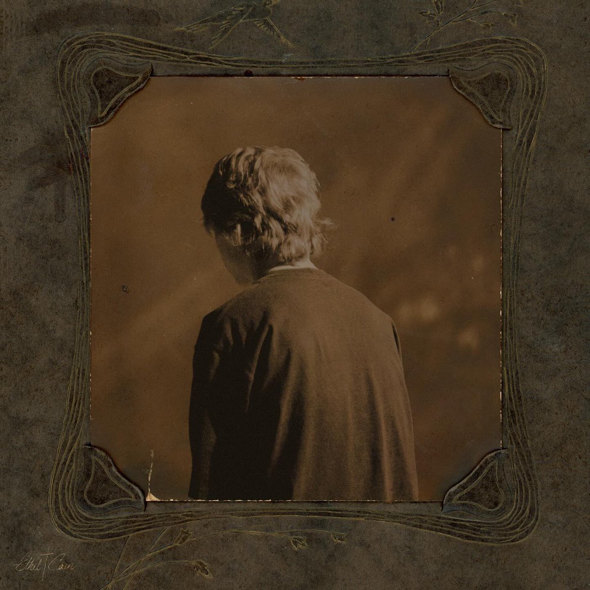 Ethel Cain Data tweet media