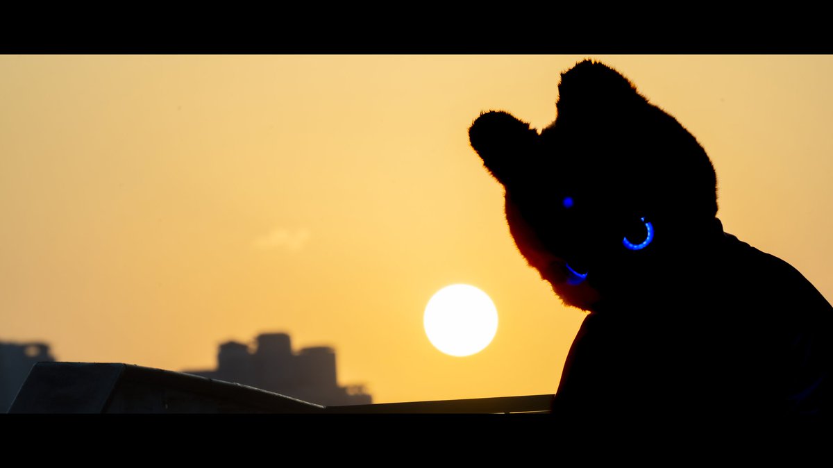 Paco - 帕科 (@paco_pake) on Twitter photo 