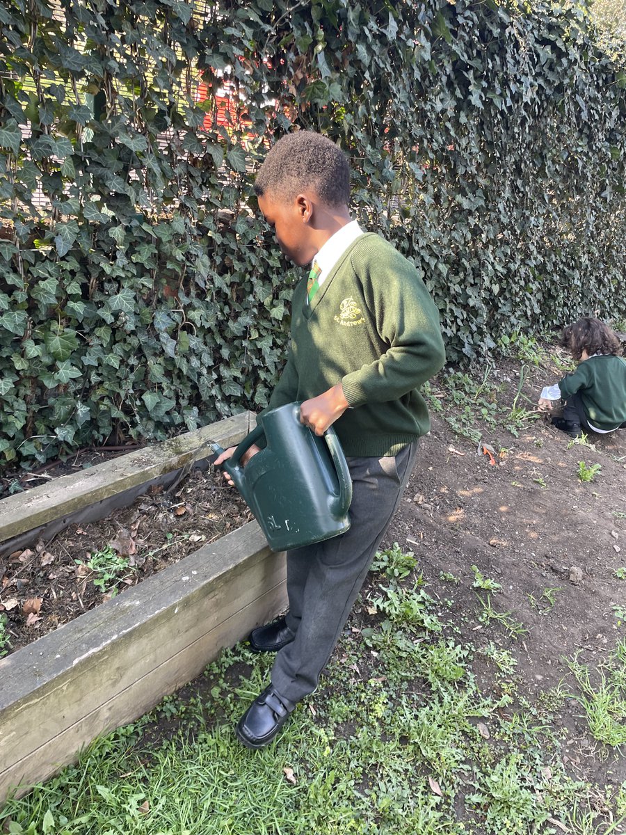 StAndrewsSW16's tweet image. 🌱 Our SEN gardening group is hard at work keeping our plants happy and hydrated! 💦🌿 Learning, growing, and nurturing together. #SEN #Gardening #LearningThroughNature