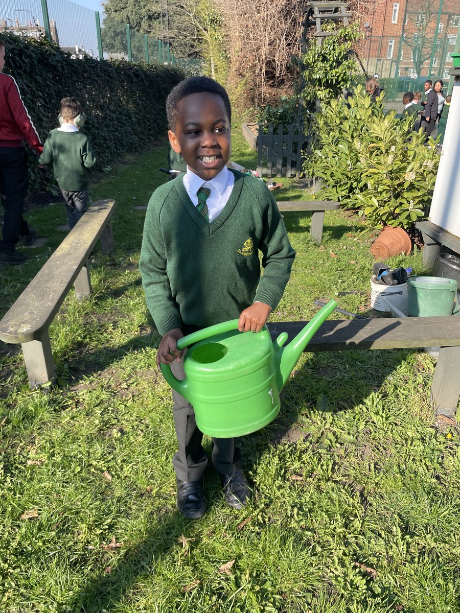 StAndrewsSW16's tweet image. 🌱 Our SEN gardening group is hard at work keeping our plants happy and hydrated! 💦🌿 Learning, growing, and nurturing together. #SEN #Gardening #LearningThroughNature