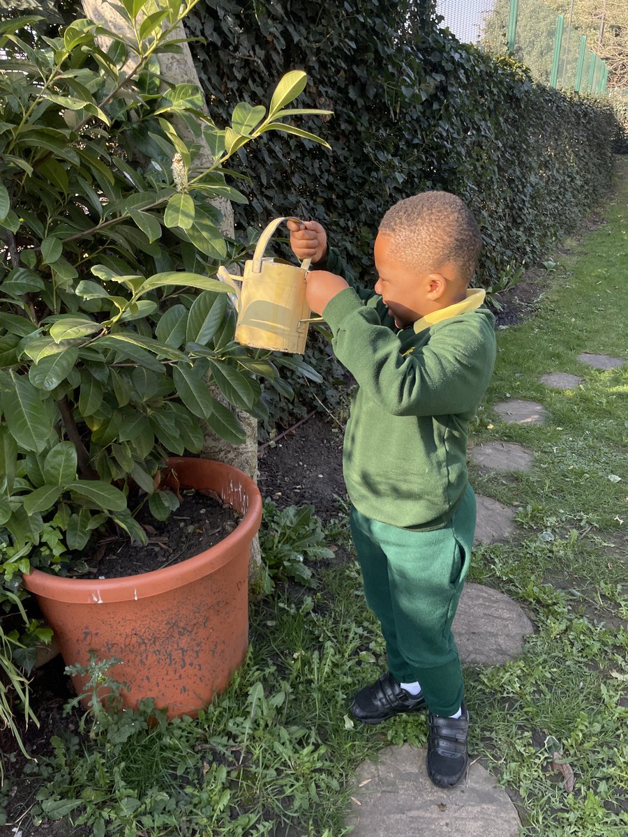 StAndrewsSW16's tweet image. 🌱 Our SEN gardening group is hard at work keeping our plants happy and hydrated! 💦🌿 Learning, growing, and nurturing together. #SEN #Gardening #LearningThroughNature