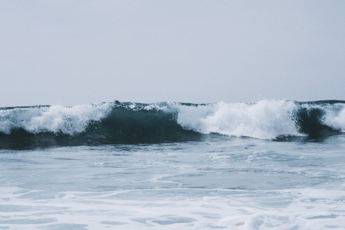 kmi idgie angele tweet media