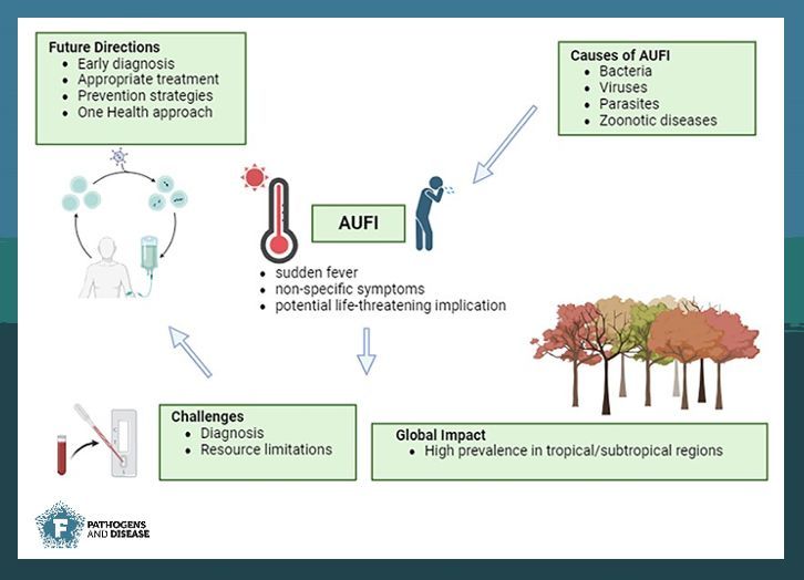 Check out Barathan M. #minireview on #febrile #illnesses 🤒: the global challenges faced and the importance of #OneHealth approach to mitigate them 🌡️. Read more here: buff.ly/knLz2hA  #acute #AUFI